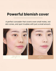 WAKEMAKE Defining Cover Concealer