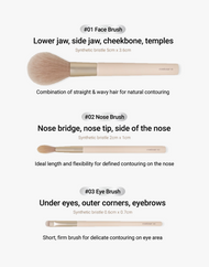 Etude Contour Brush