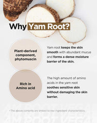 ISNTREE Yam Root Vegan Milk Cleanser