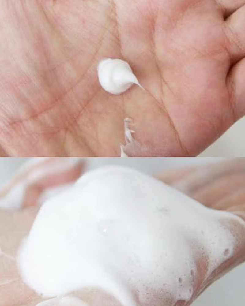 Reihaku Hatomugi Moisturizing & Facial Washing Foam