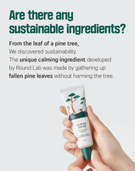 ROUND LAB Pine Calming Cica Cream