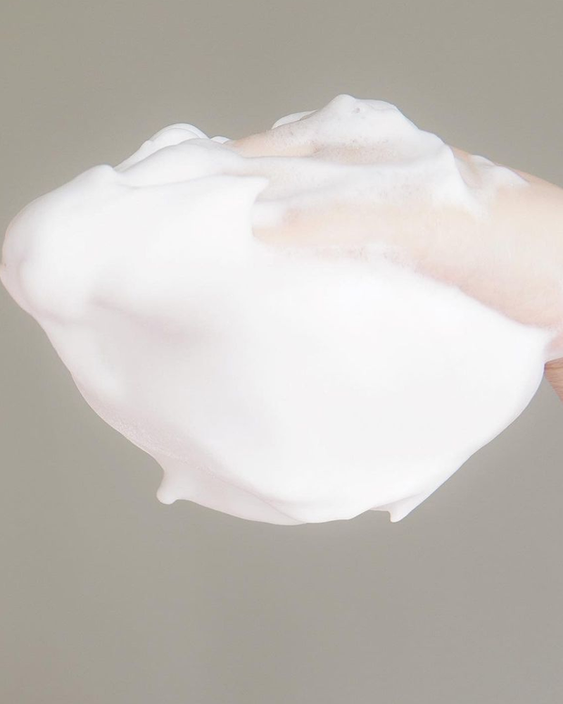 Shiseido Speedy Perfect Whip Cleansing Foam Pump