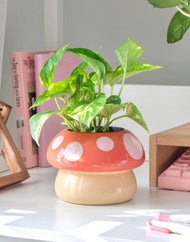 Shopzoki© Mushroom Planter