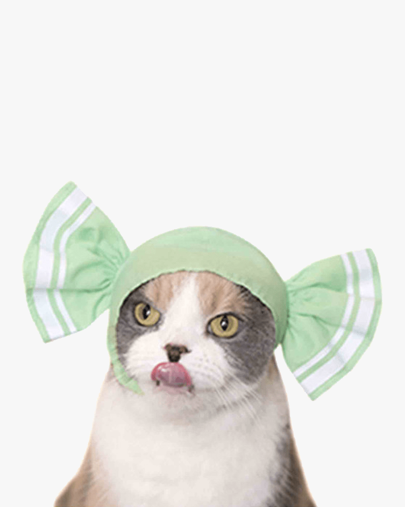 Kitan Club Cat Cap Blind Box: Candy