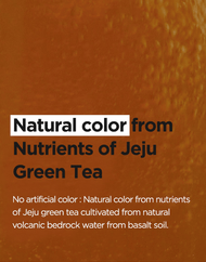 ISNTREE Green Tea Fresh Toner (Renewal)