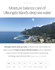 ROUND LAB 1025 Dokdo Light Cream