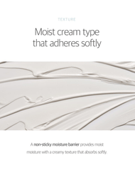 ROUND LAB 1025 Dokdo Light Cream