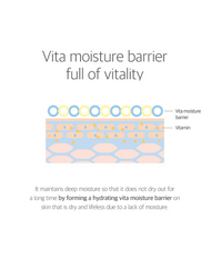 ROUND LAB Birch Juice Moisturizing Cream moisture barrier infographic