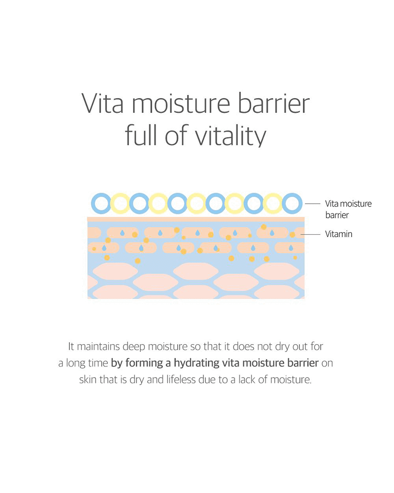ROUND LAB Birch Juice Moisturizing Cream moisture barrier infographic
