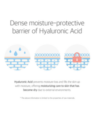 ROUND LAB Birch Juice Moisturizing Sheet Mask hyaluronic acid moisture barrier info