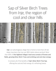 ROUND LAB Birch Juice Moisturizing Cream Korean silver birch trees description