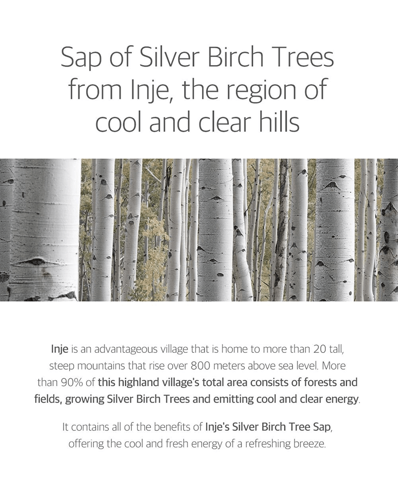 ROUND LAB Birch Juice Moisturizing Cleanser Korean silver birch tree sap info