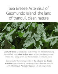 ROUND LAB Mugwort Calming Cream Geomundo Island sea breeze artemisia description