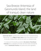 ROUND LAB Mugwort Calming Sheet Mask Geomundo Island artemisia description