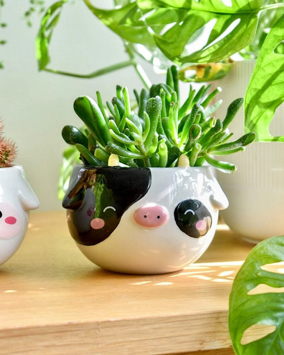 Shopzoki© Cow Planter