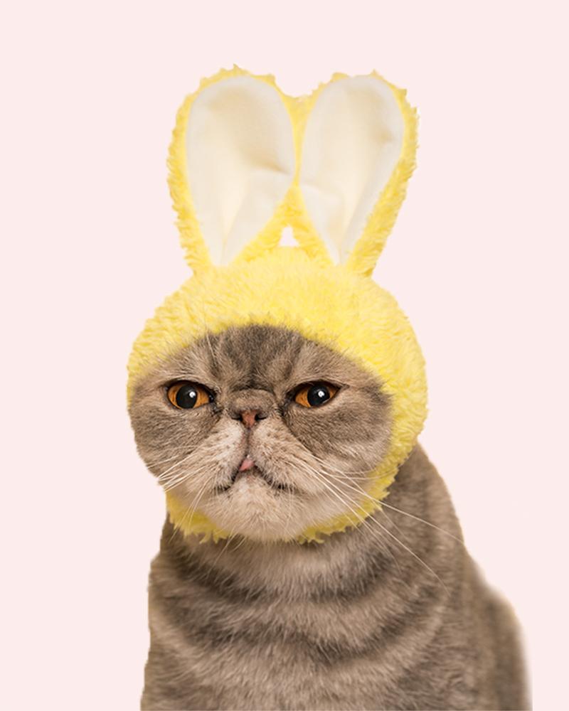 Kitan Club Cat Cap Blind Box: Rabbit